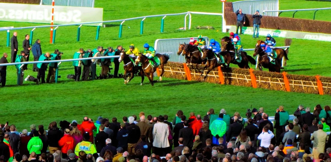 Cheltenham Events