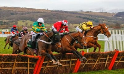 Great International Hurdle Horse Racing Event 16 International Hurdle