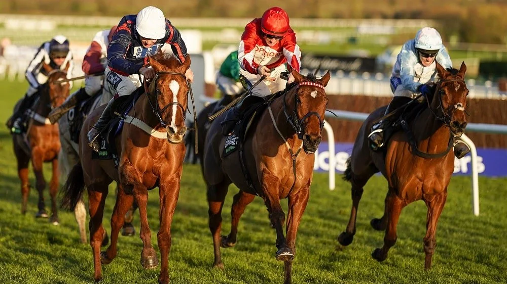 International Hurdle