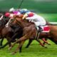 Biggest Horse Racing Events around the World 11 horse racing events