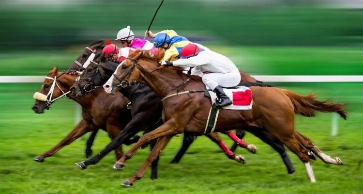 horse racing events