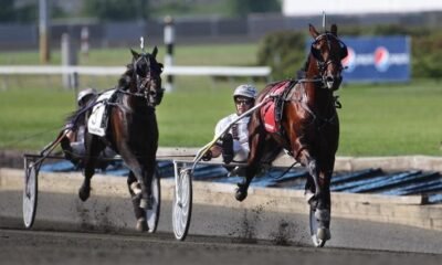 As sports betting evolve, harness racing must create its niche 8 Harness racing