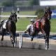 As sports betting evolve, harness racing must create its niche 9 Harness racing