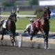Harness racing