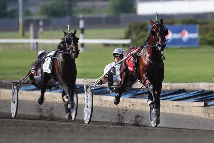 As sports betting evolve, harness racing must create its niche