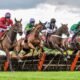 How to win betting on horses 23 Betting Markets