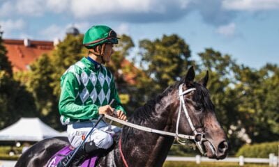 Main Betting Markets In Horse Riding 24 Betting Markets In Horse Riding