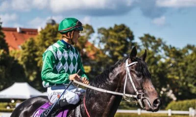 Betting Markets In Horse Riding