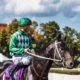 Betting Markets In Horse Riding