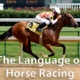 Horse racing vocabulary - Horse Racing Terminology 11 the language of horse racing