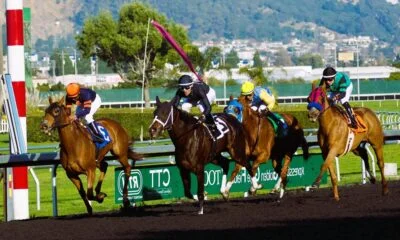Horse Racing Facts
