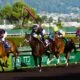 Horse Racing Facts