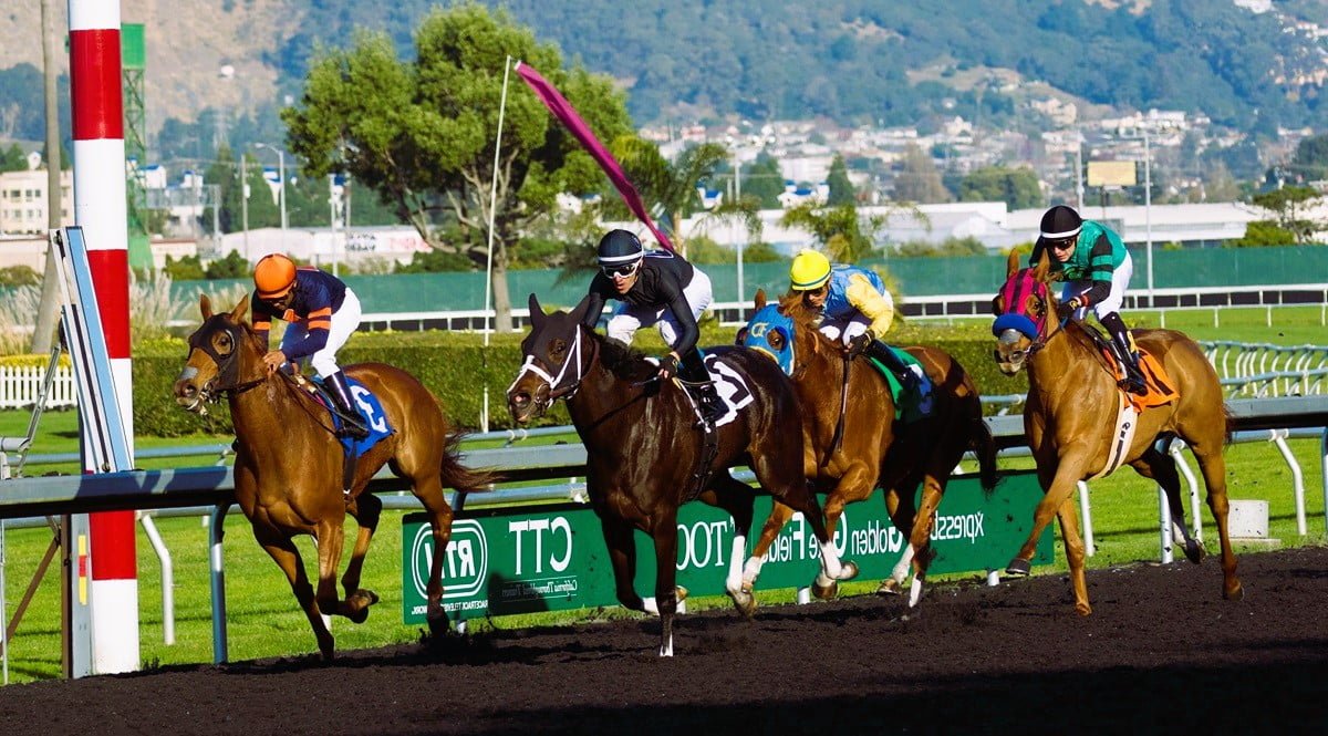 10 Awesome Horse Racing Facts