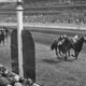 A short look at the Horse Racing 23 Horse Racing History
