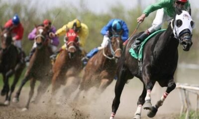 BtoBet Predicts a Galloping Return of Competition Betting 20 BtoBet Predicts a Galloping Return of Competition Betting