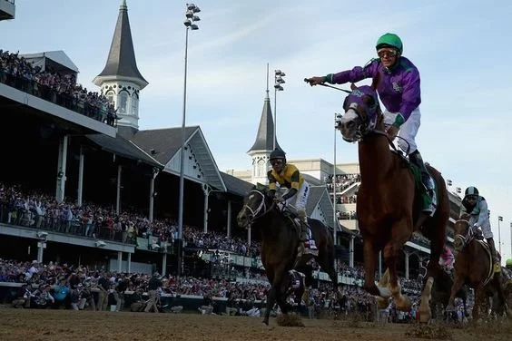 Grand national runners