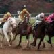 Melbourne Cup