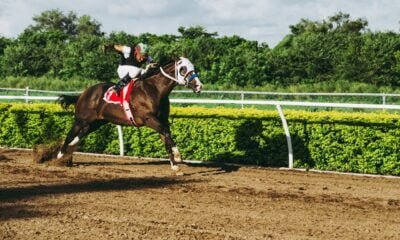 What Is a Place Bet in Horse Racing and Why Is It So Popular? 15 Place Bet in Horse Racing