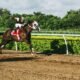 What Is a Place Bet in Horse Racing and Why Is It So Popular? 16 Place Bet in Horse Racing