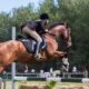 How to bet on Grand National 2024 online 9 bet on Grand National 2024