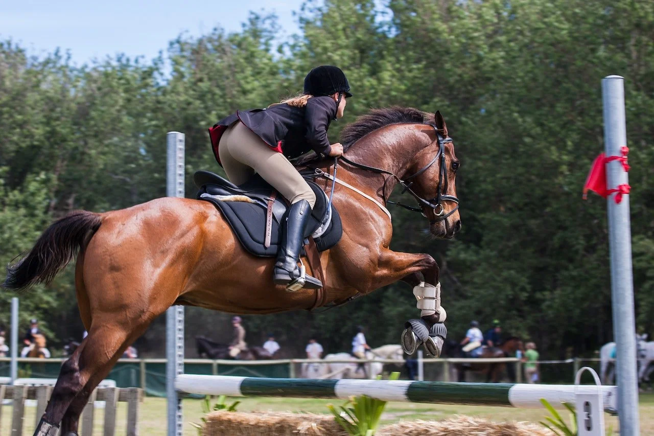 bet on Grand National 2024
