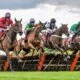 Best Horse Racing Betting Site