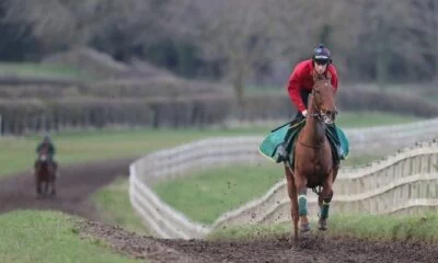 How to train your racehorse