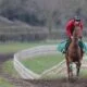 How to train your racehorse