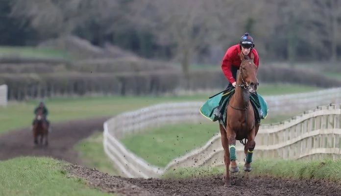 How to train your racehorse